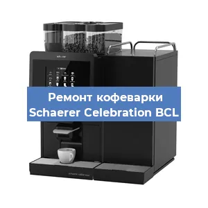 Ремонт кофемолки на кофемашине Schaerer Celebration BCL в Новосибирске